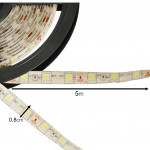 LED páska SMD 3528 5 m vodotesná studená biela